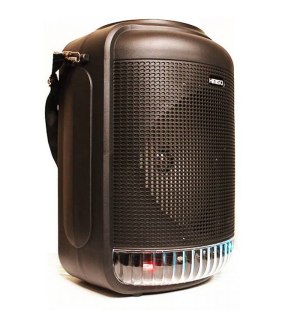 QS-4001 / Głośnik Bluetooth Bezprzewodowy Boombox Karaoke