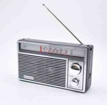 Radio przenośne SN-12012W